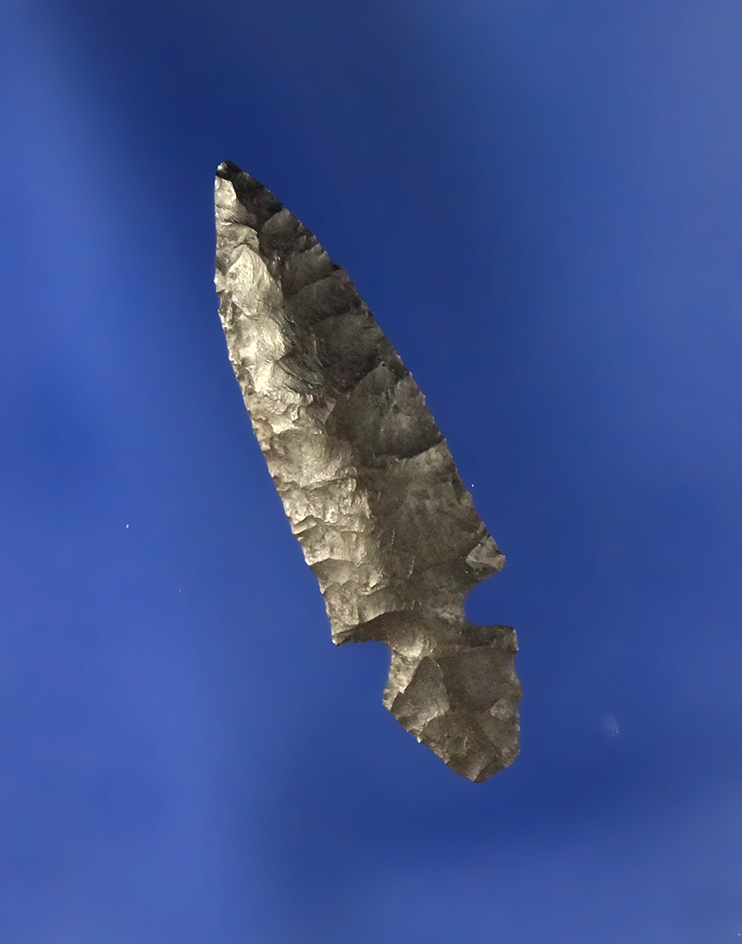 Main artifact image