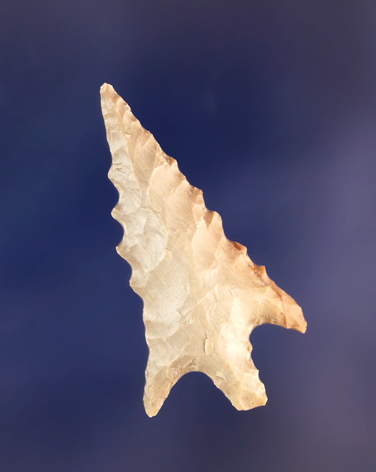 Main artifact image
