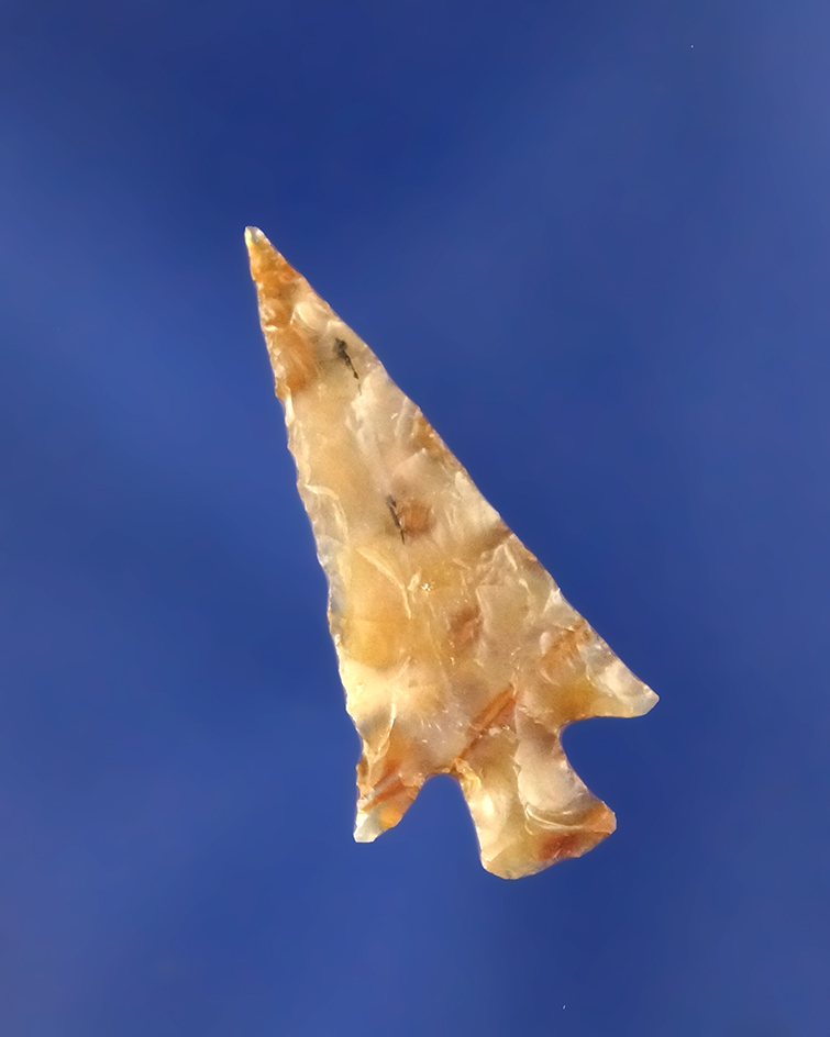 Main artifact image