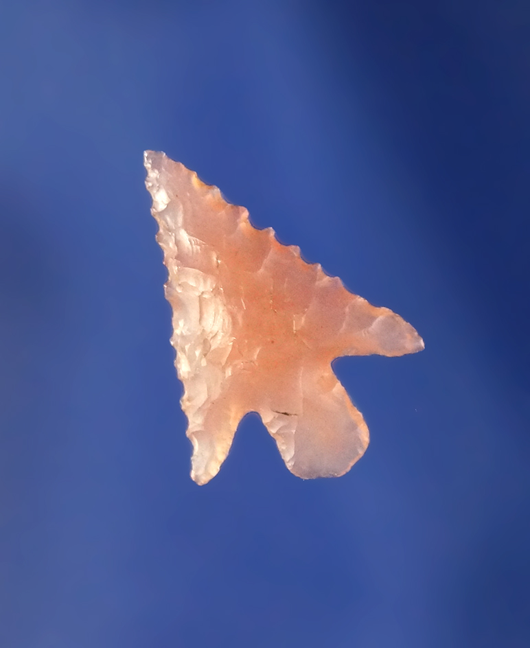 Main artifact image
