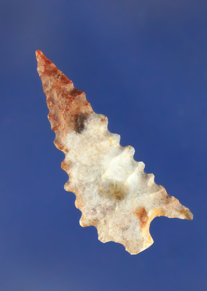 Main artifact image