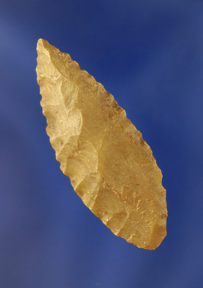Main artifact image