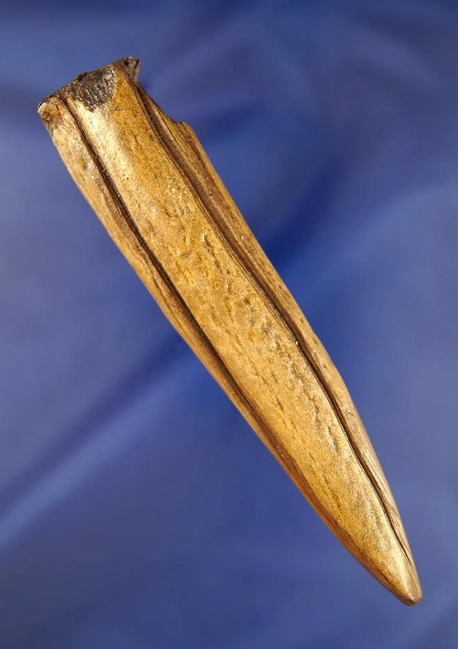 Main artifact image