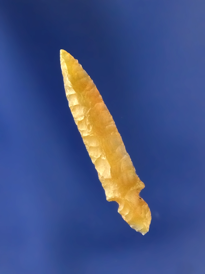 Main artifact image