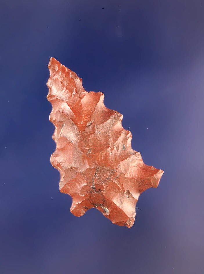 Main artifact image