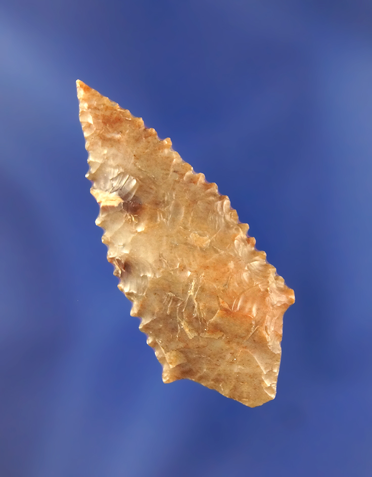 Main artifact image