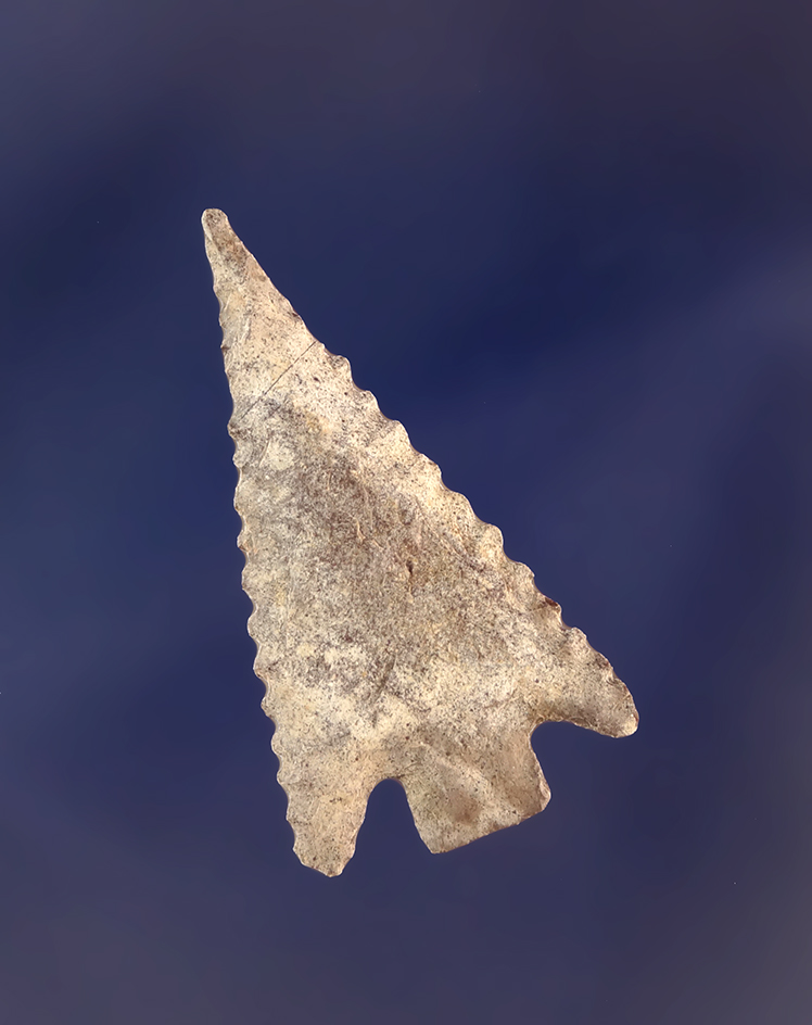Main artifact image