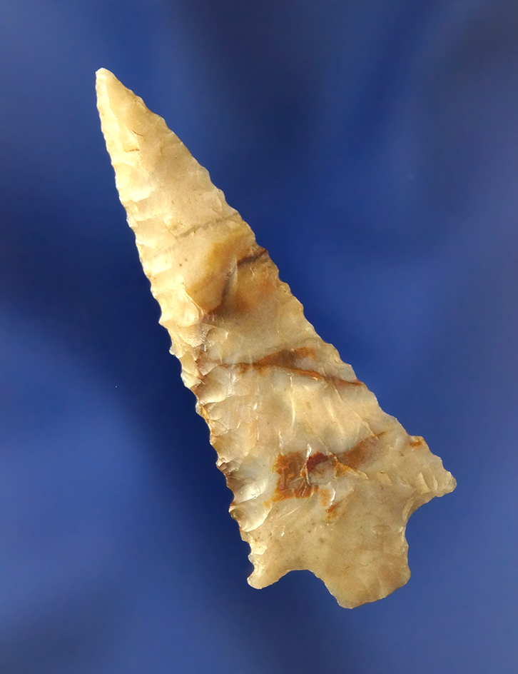 Main artifact image