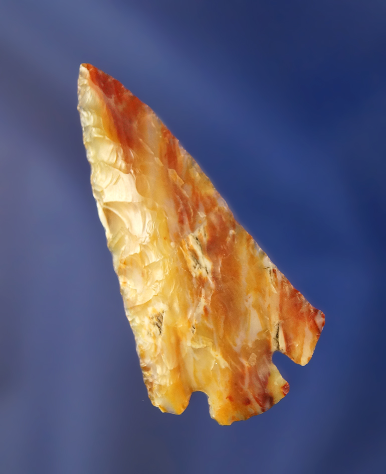 Main artifact image