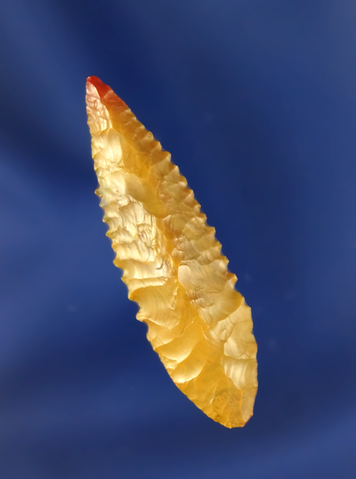 Main artifact image