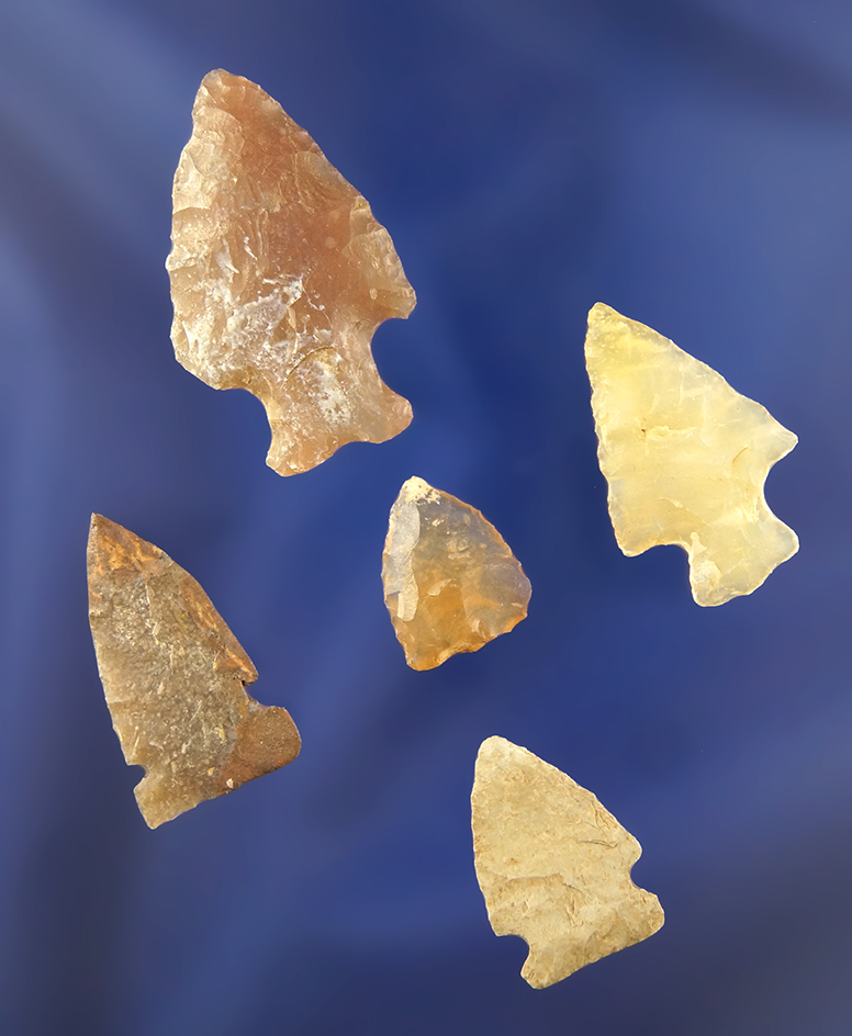 Main artifact image