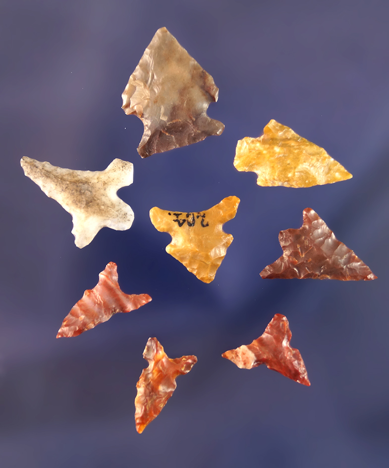 Main artifact image
