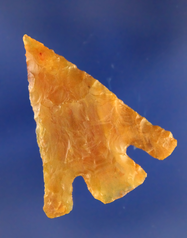 Main artifact image