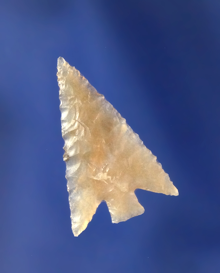 Main artifact image