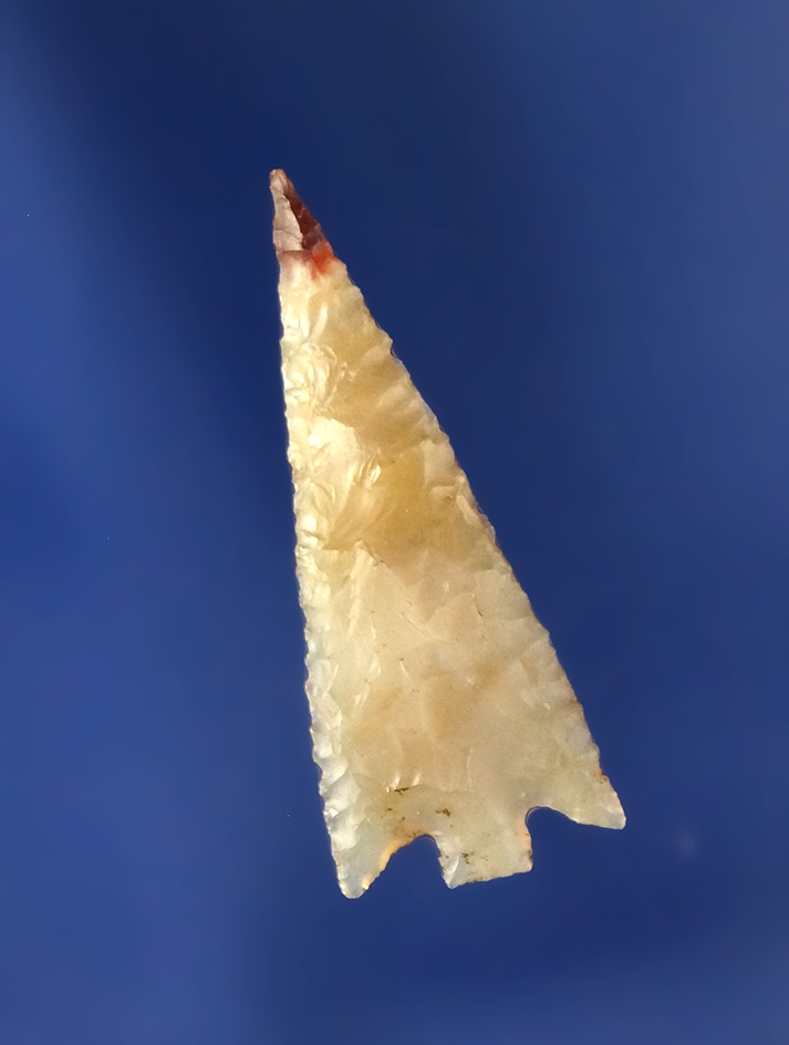 Main artifact image