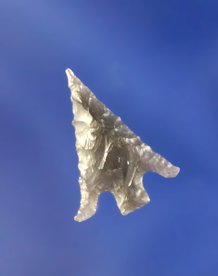 Main artifact image