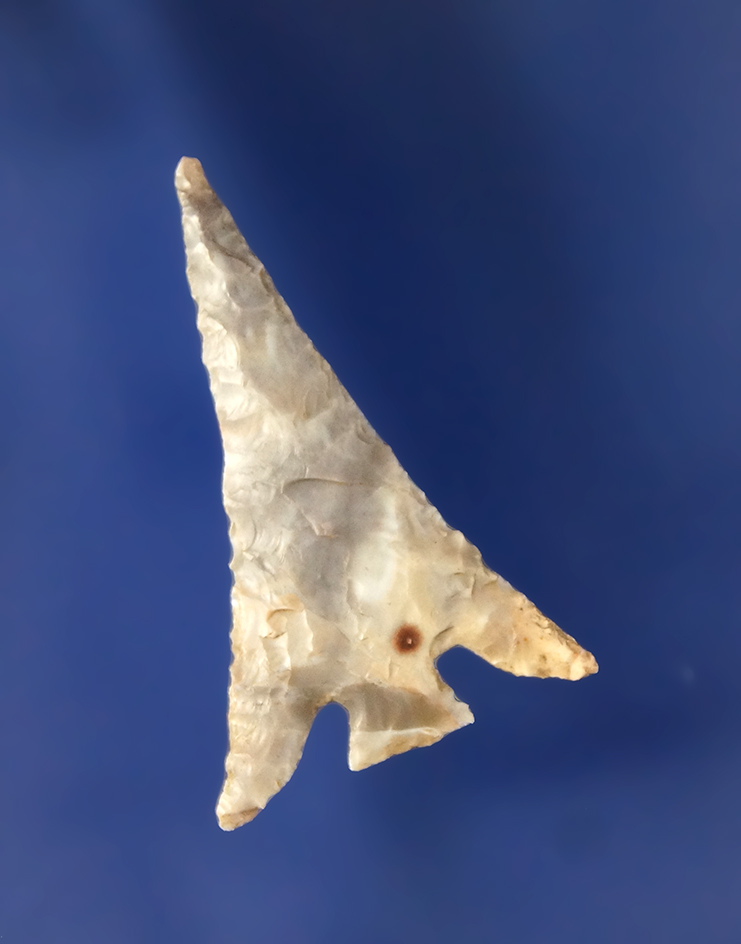 Main artifact image