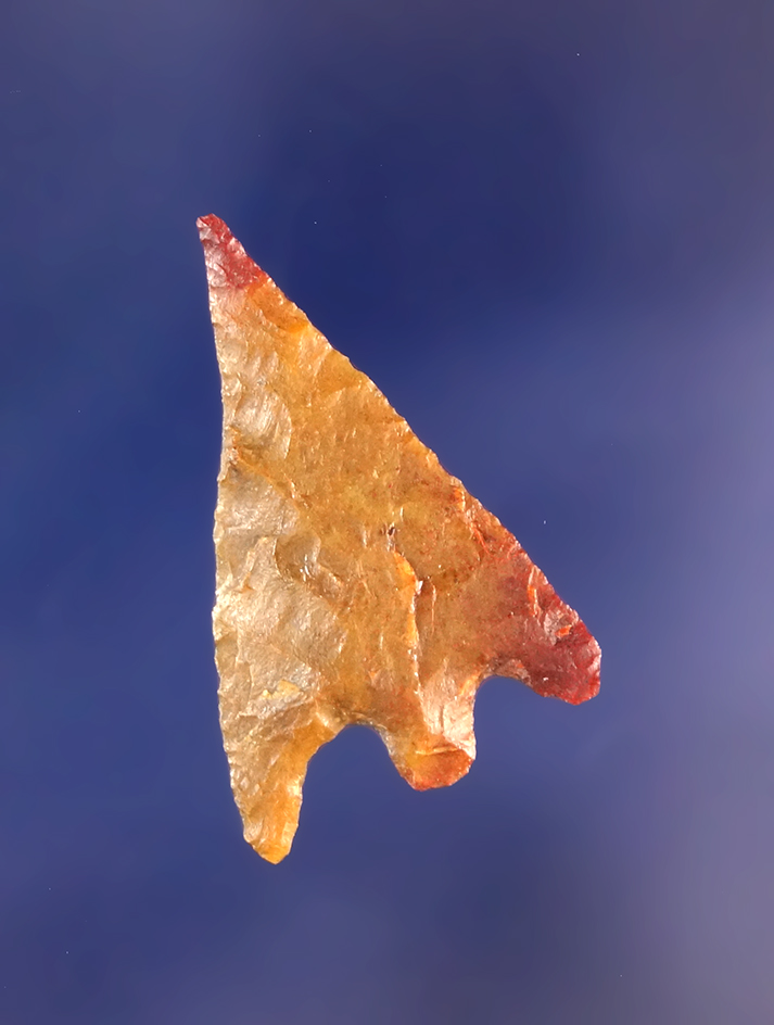 Main artifact image