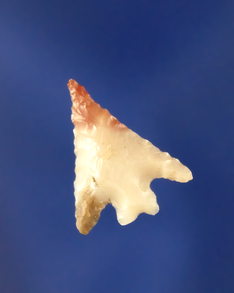 Main artifact image