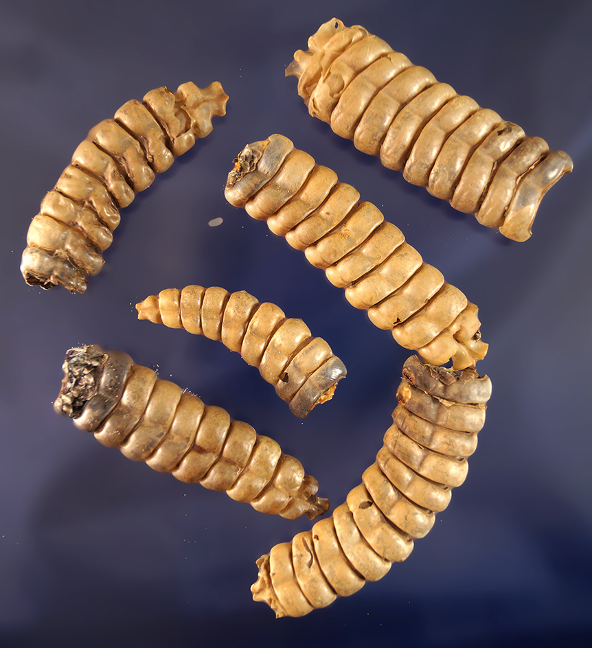 Main artifact image