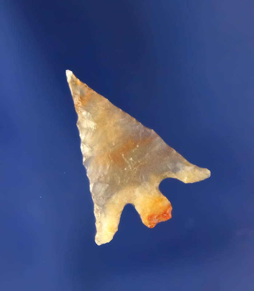 Main artifact image