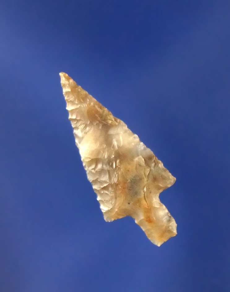 Main artifact image