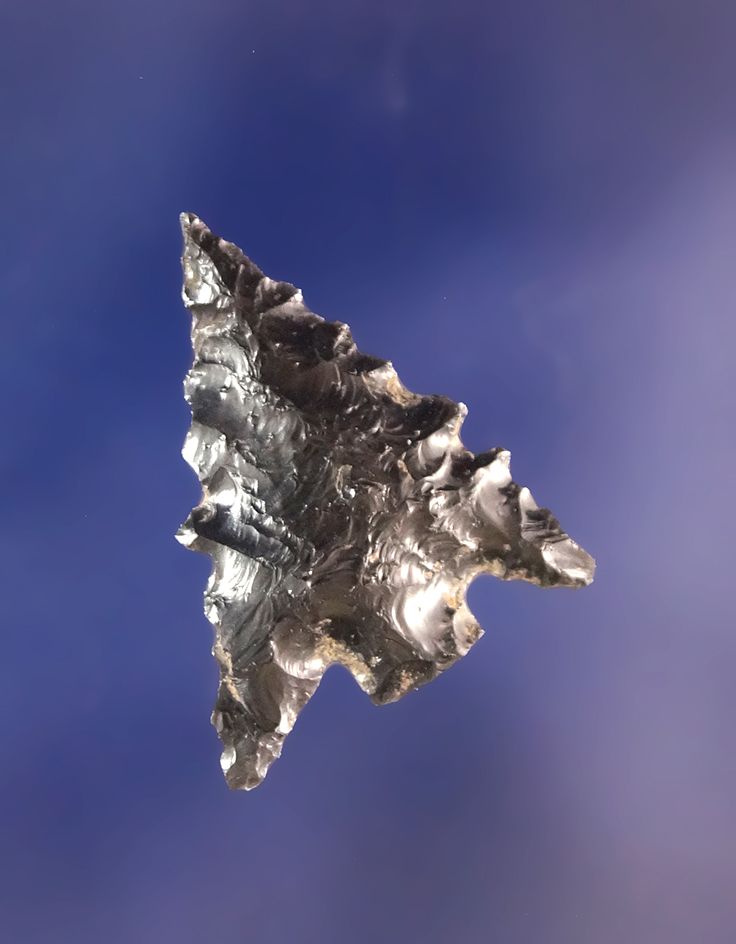 Main artifact image