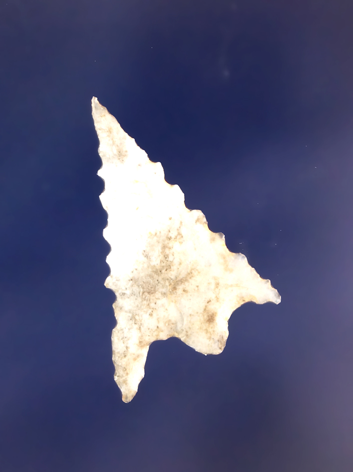 Main artifact image