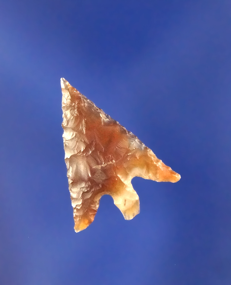 Main artifact image