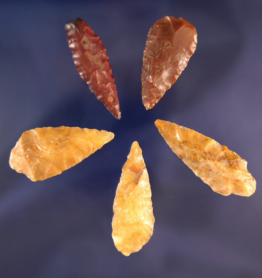 Main artifact image
