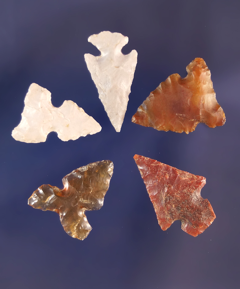 Main artifact image
