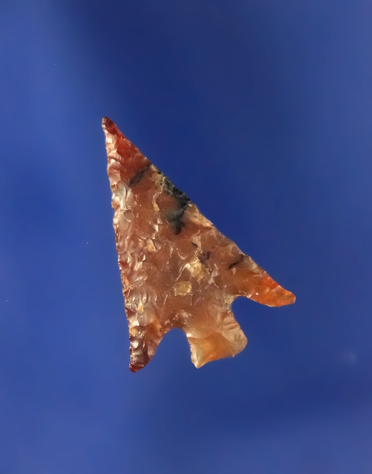 Main artifact image
