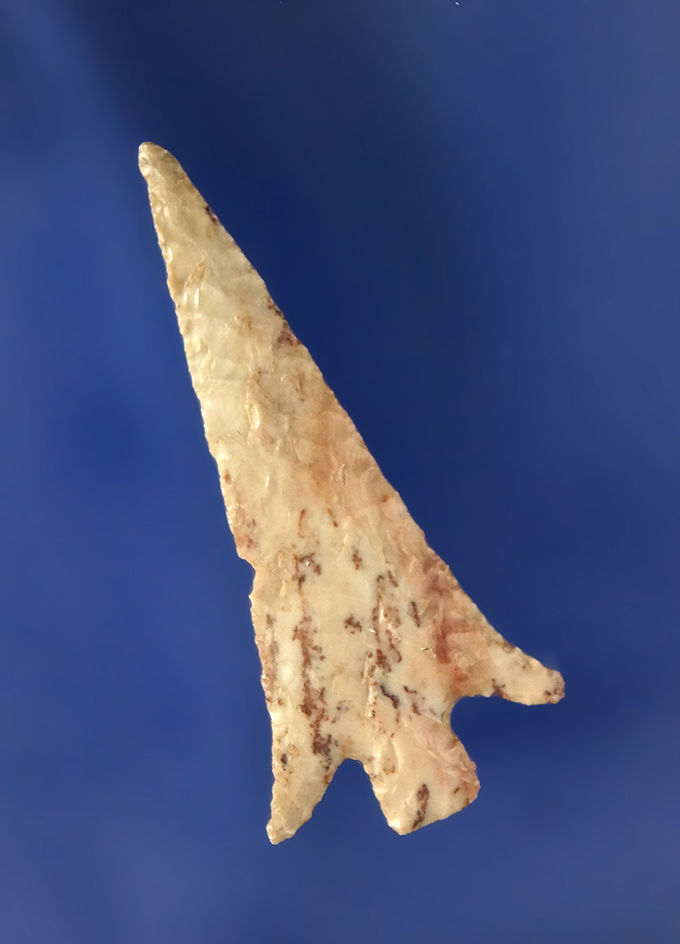 Main artifact image