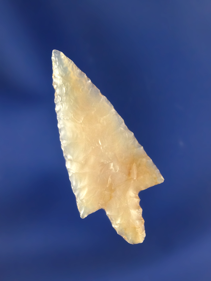 Main artifact image