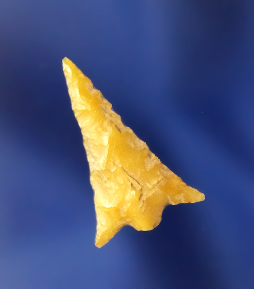 Main artifact image