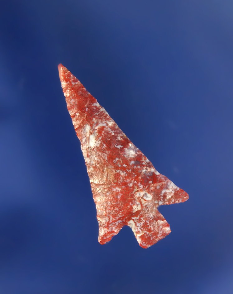 Main artifact image