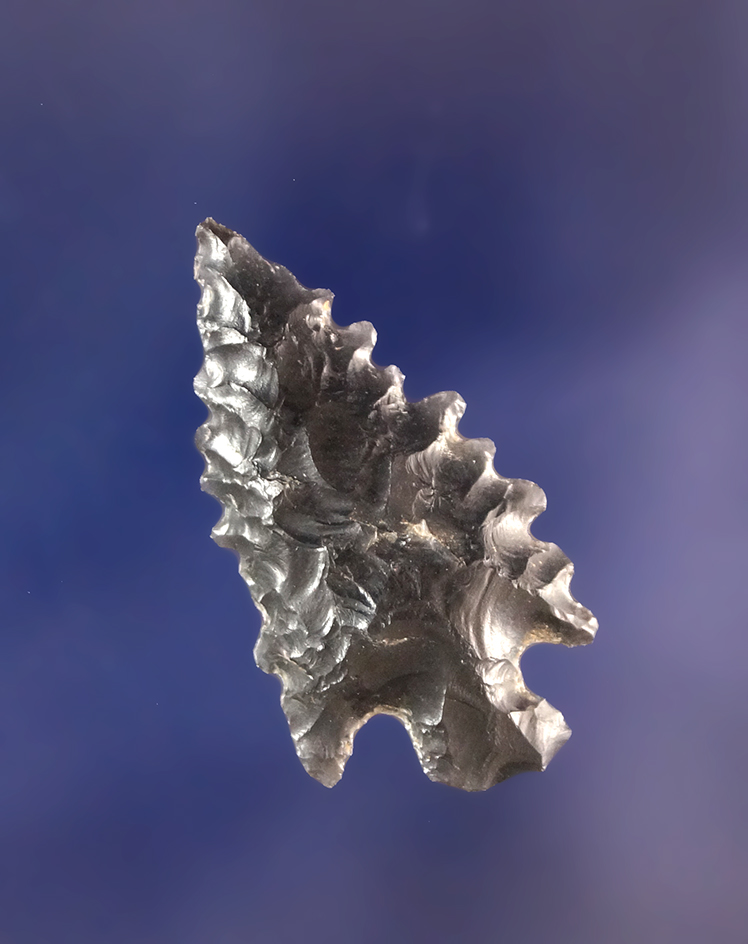 Main artifact image
