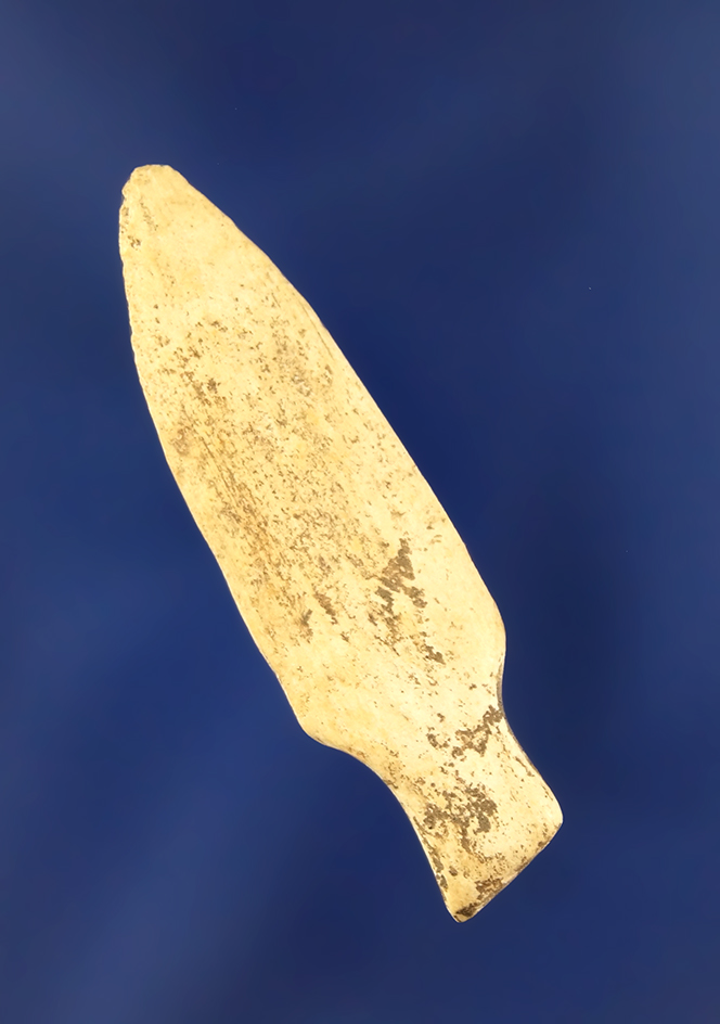 Main artifact image