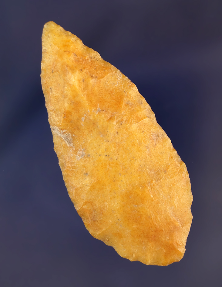 Main artifact image