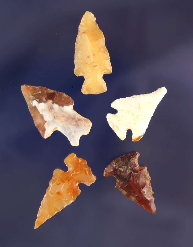 Main artifact image