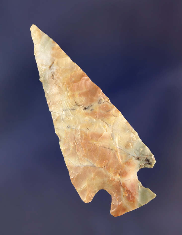 Main artifact image