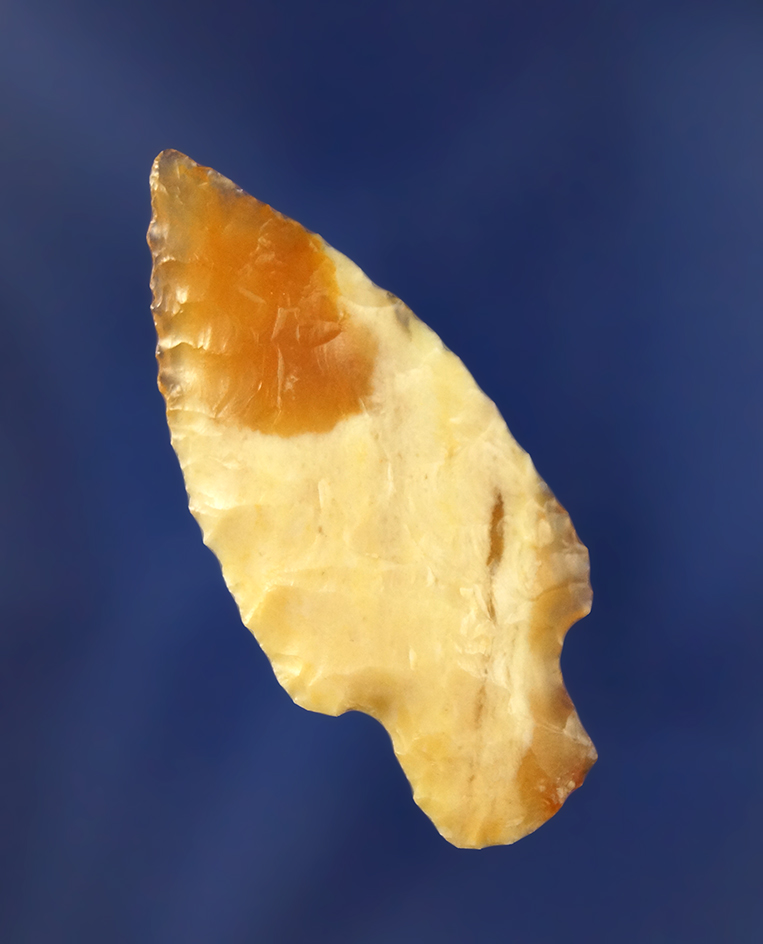 Main artifact image
