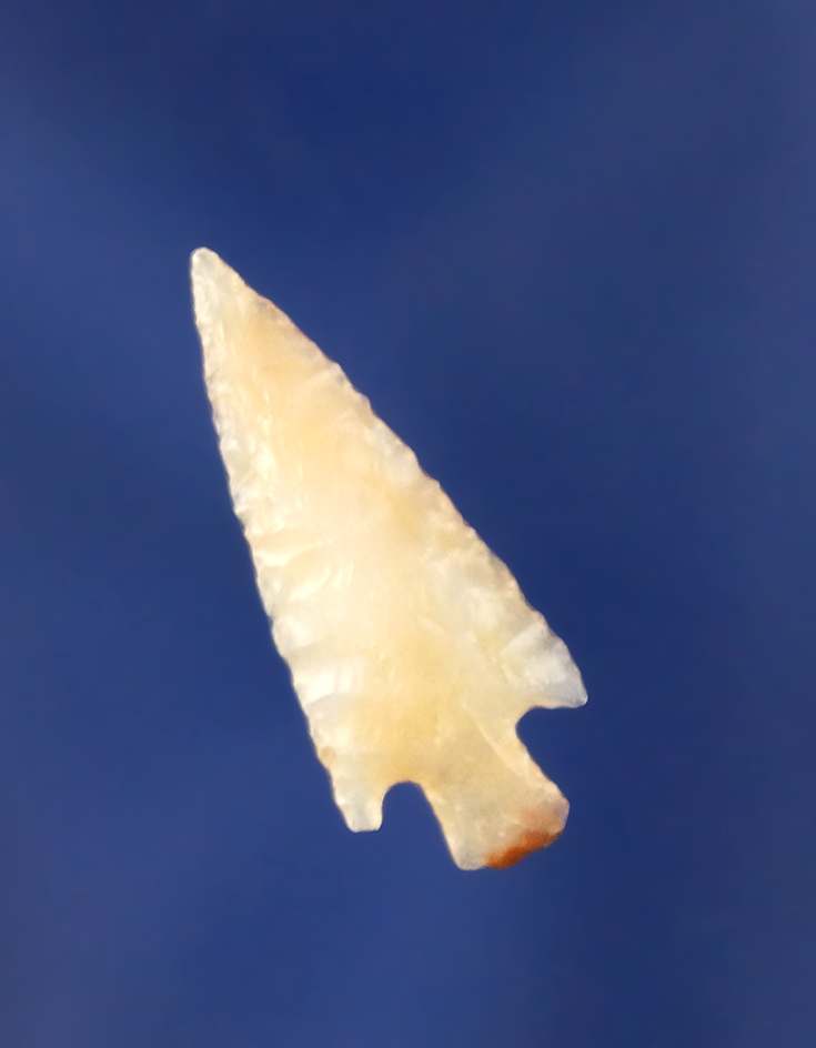 Main artifact image