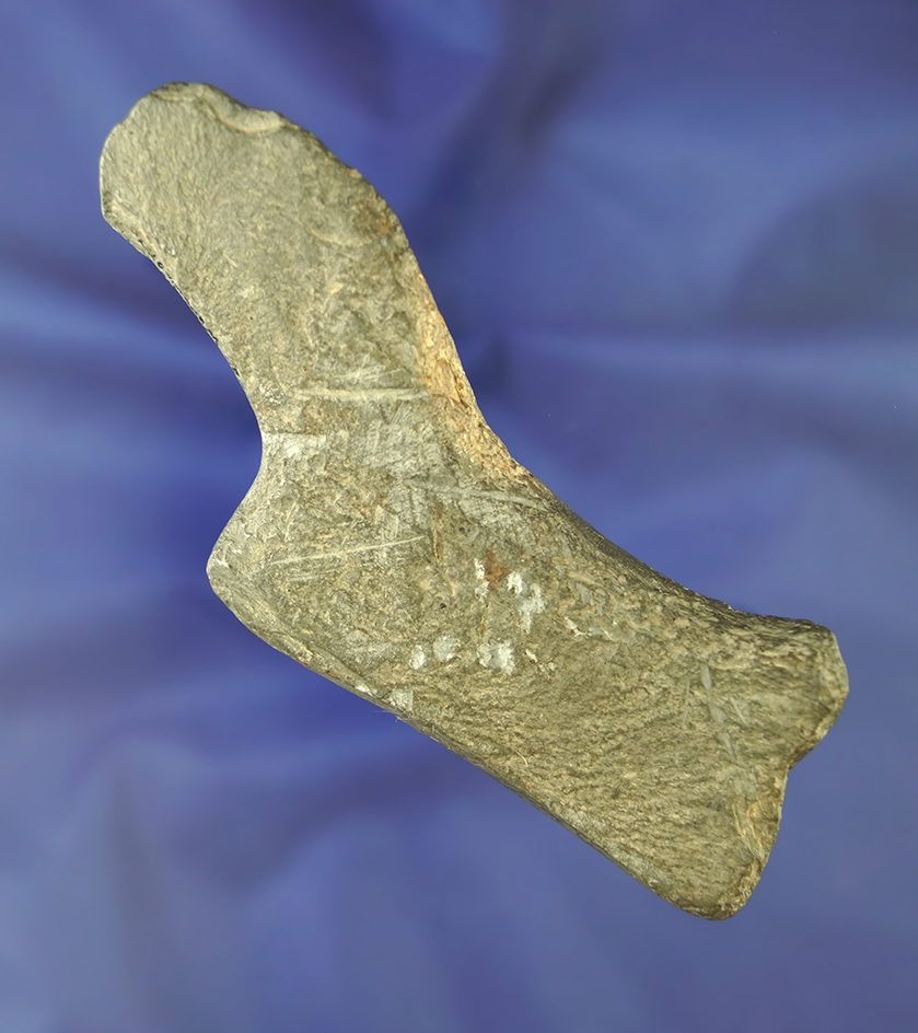 Main artifact image
