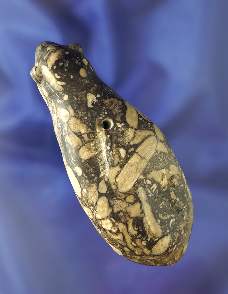 Main artifact image