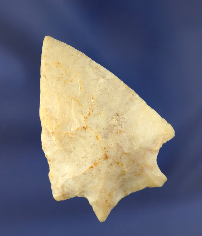 Main artifact image