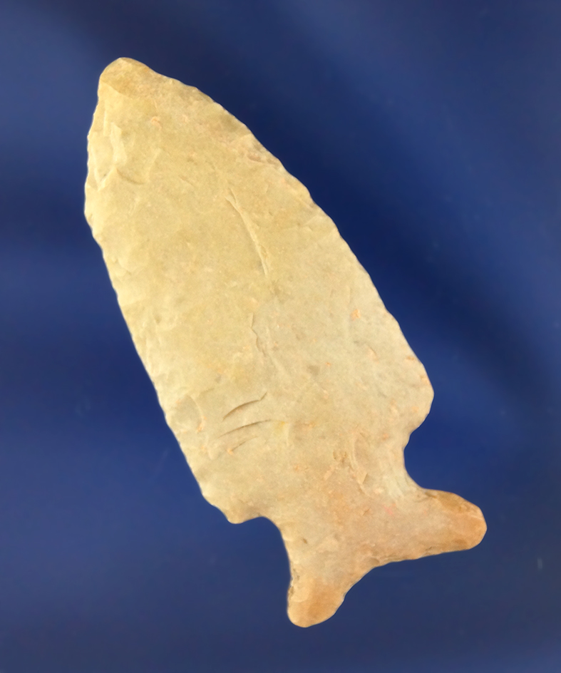 Main artifact image