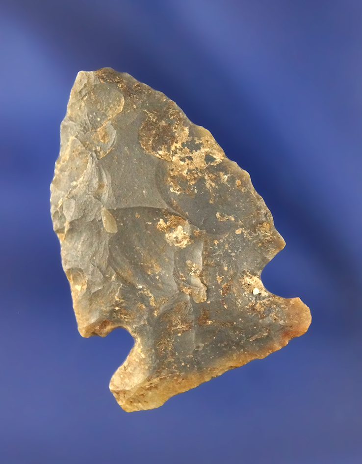Main artifact image