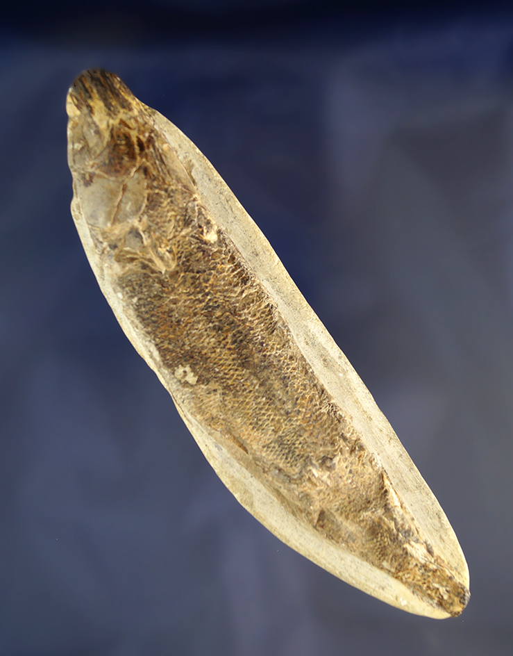 Main artifact image