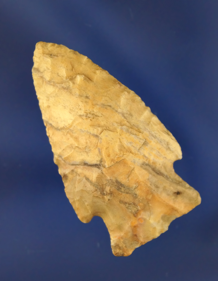 Main artifact image